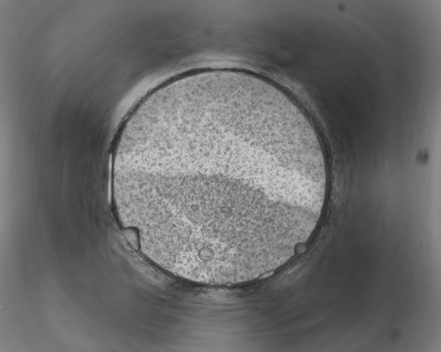 X0000115651175200912221325