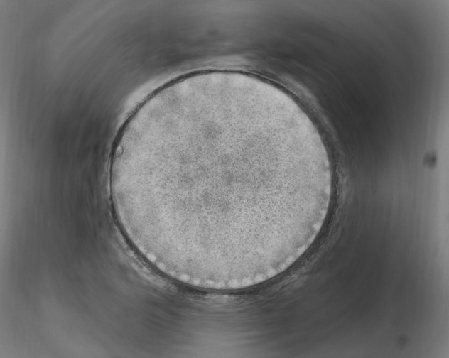 X0000115651176200912221325