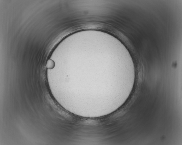 X0000115651178200912221325