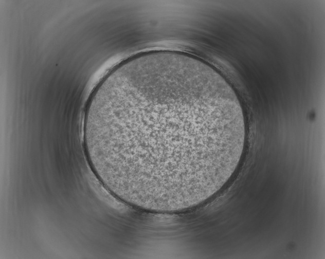 X0000115651180200912221325