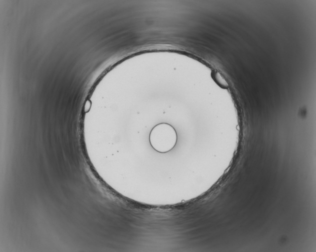 X0000115651181200912221325