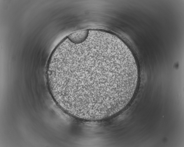 X0000115651182200912221325