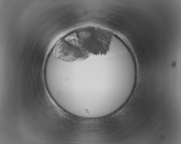 X0000115651183200912221325