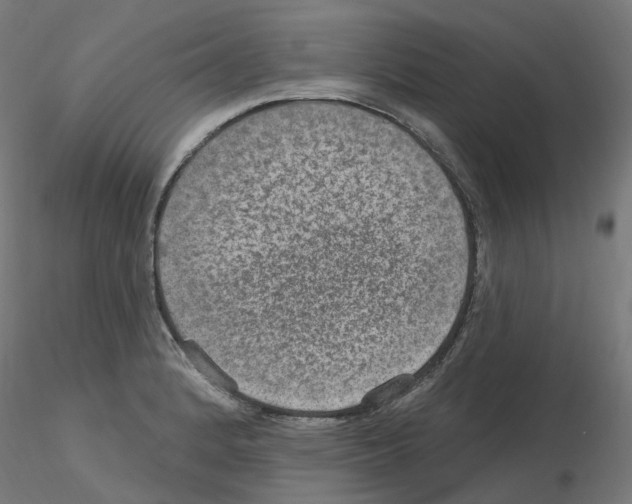 X0000115651184200912221325