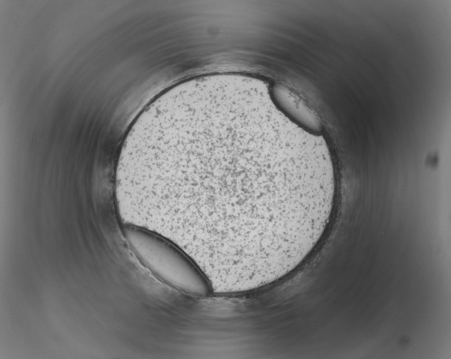 X0000115651185200912221325