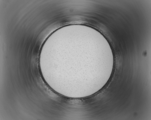 X0000115651186200912221324