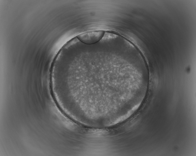 X0000115651187200912221324