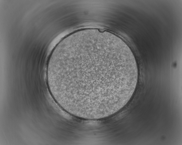 X0000115651188200912221324