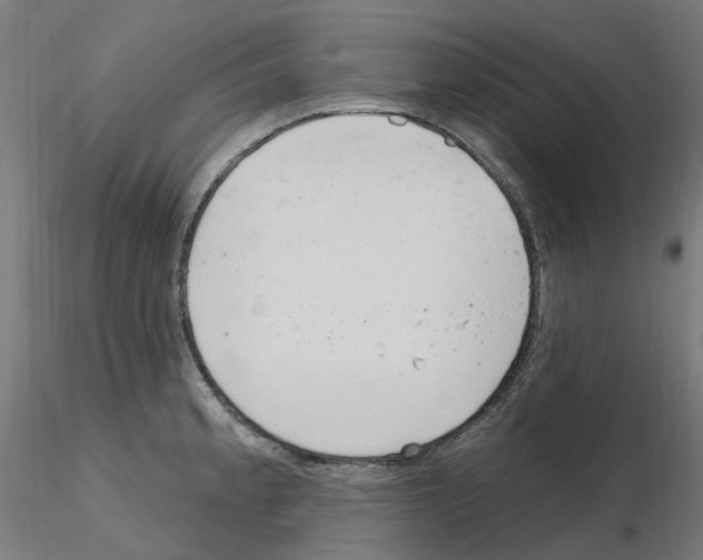 X0000115651189200912221324