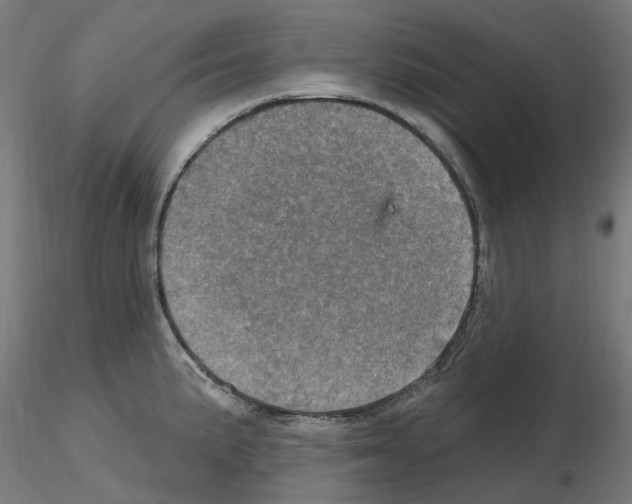 X0000115651191200912221324