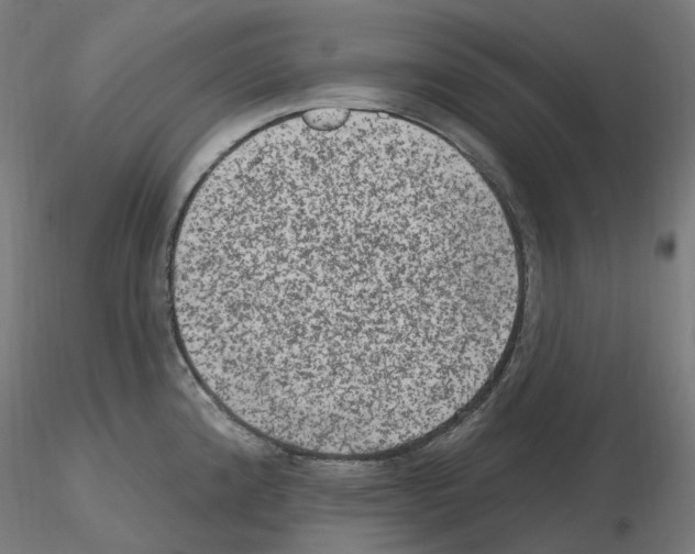X0000115651192200912221324