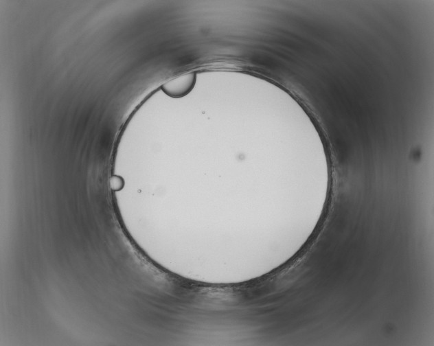 X0000115651194200912221324