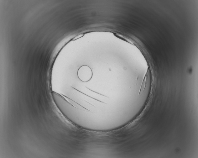 X0000115651196200912221324