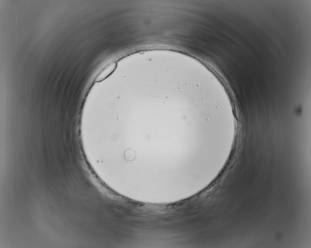 X0000115651197200912221324