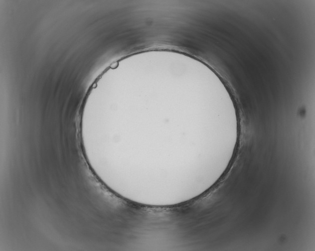 X0000115651198200912221324