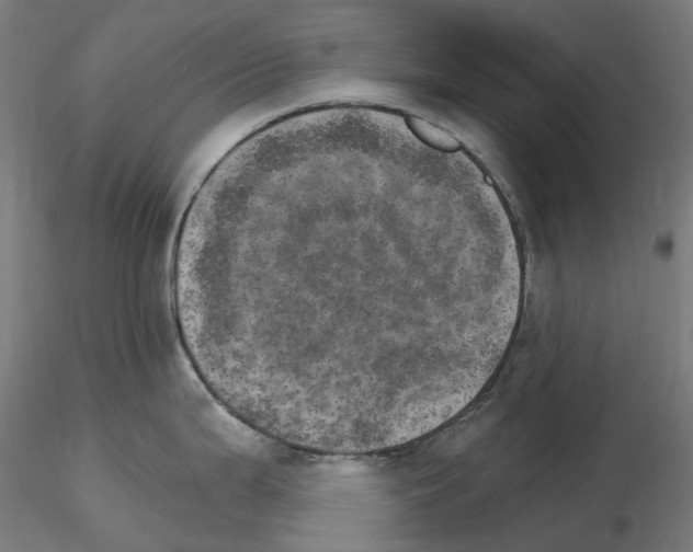 X0000115651199200912221324