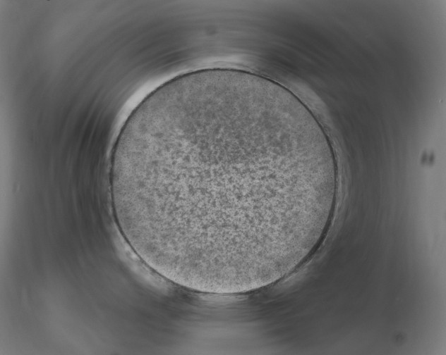 X0000115651200200912221324