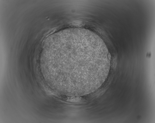 X0000115651201200912221324