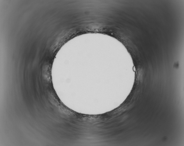 X0000115651202200912221324
