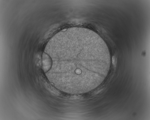 X0000115651203200912221324