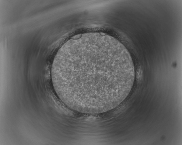 X0000115651204200912221324