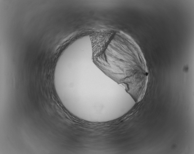 X0000115651205200912221324