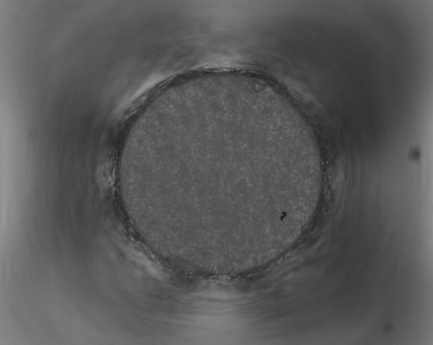 X0000115651206200912221324