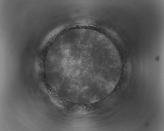 X0000115651207200912221324