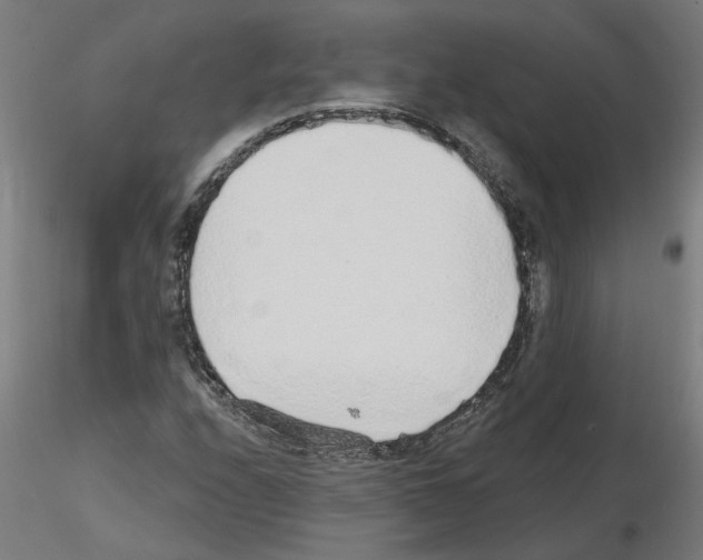 X0000115651208200912221324