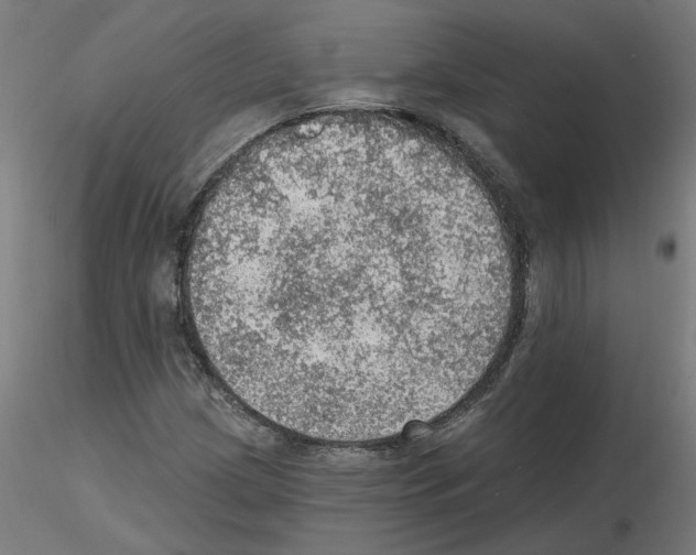 X0000115651209200912221324