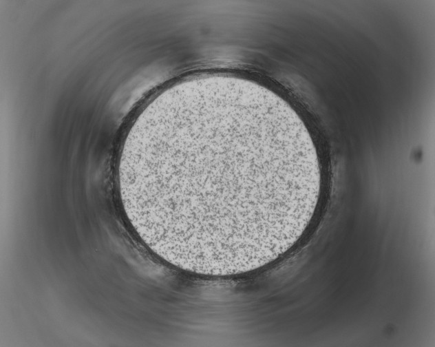 X0000115651210200912221324