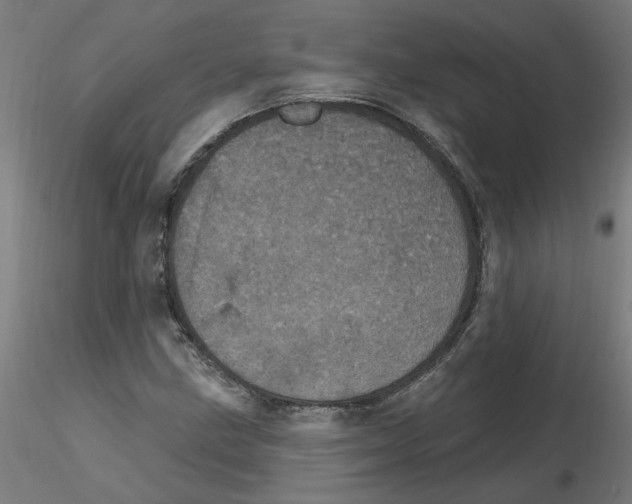 X0000115651211200912221324