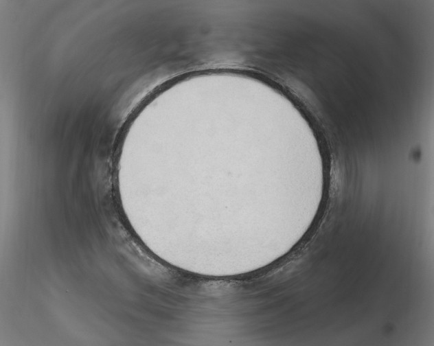 X0000115651212200912221324