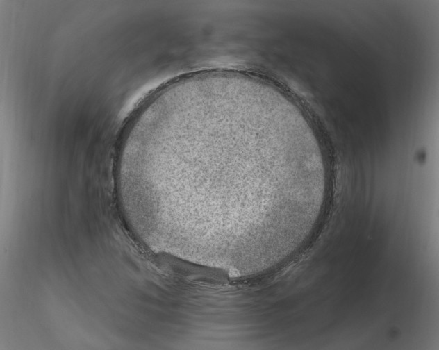 X0000115651214200912221324