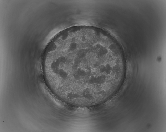 X0000115651215200912221324
