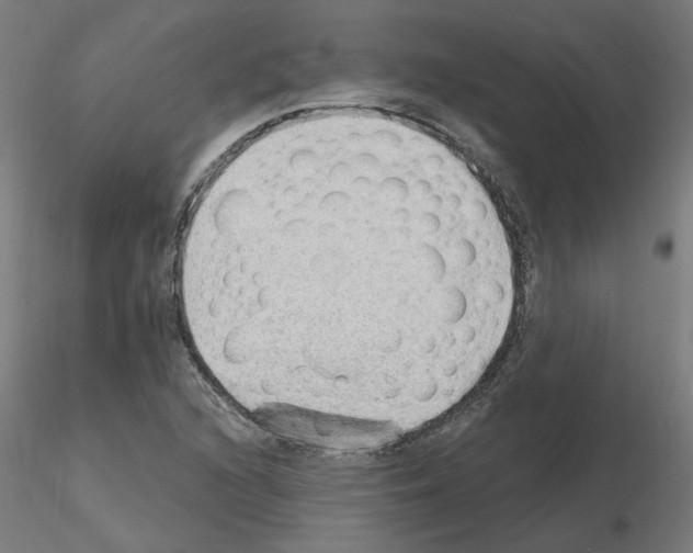 X0000115651216200912221324