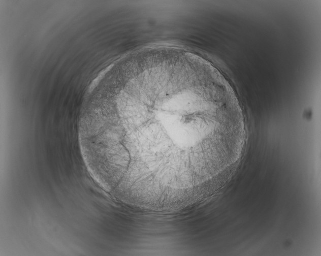 X0000115651217200912221324