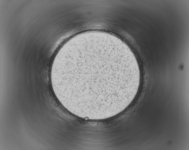 X0000115651218200912221324