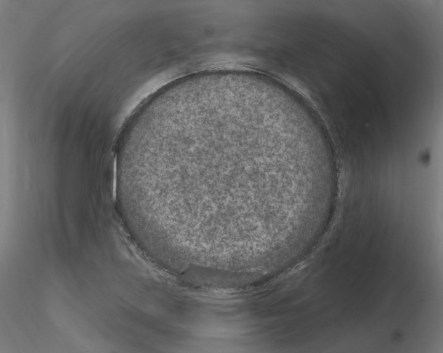 X0000115651219200912221324