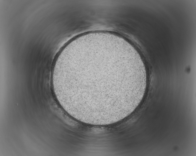 X0000115651220200912221324