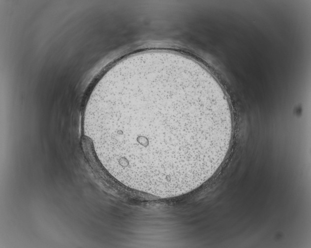 X0000115651221200912221324