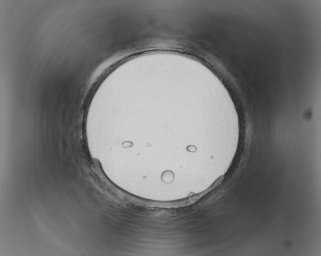 X0000115651222200912221324