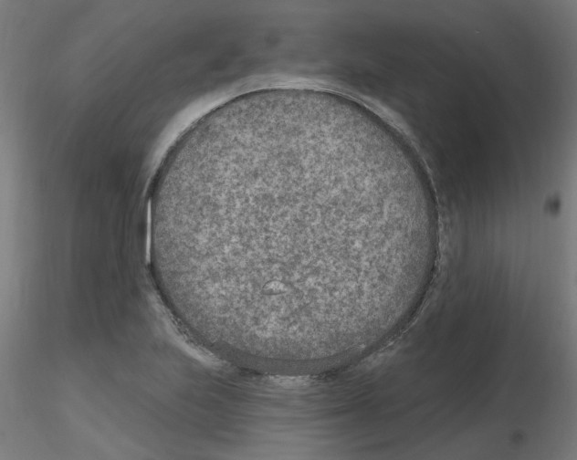 X0000115651223200912221324