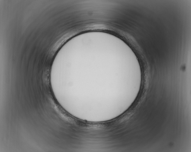 X0000115651225200912221324