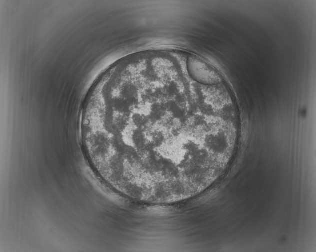 X0000115651227200912221324