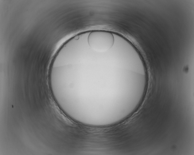 X0000115651230200912221324