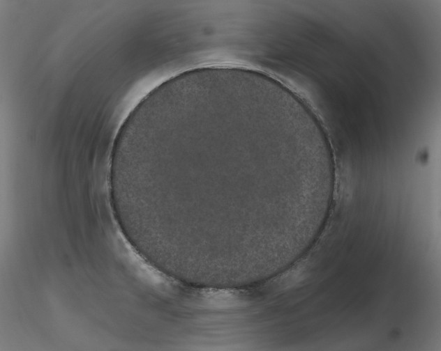 X0000115651231200912221324