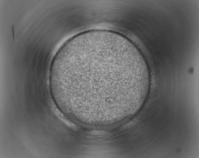 X0000115651232200912221324