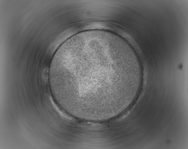 X0000115651233200912221324