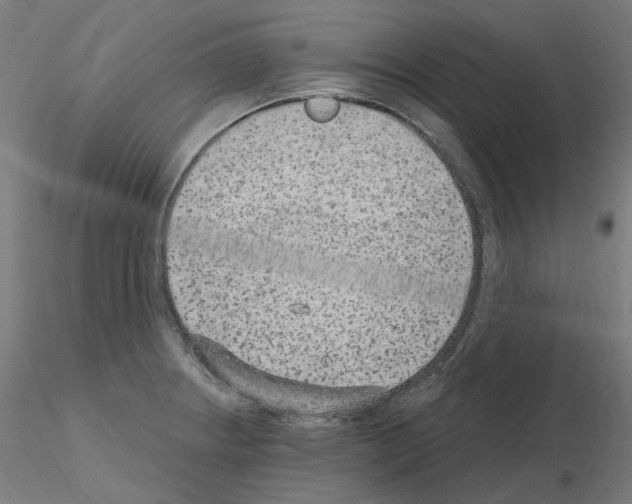 X0000115651234200912221324